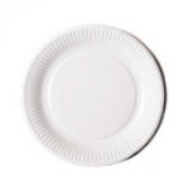100 assiettes en carton blanc 23 cm