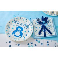 10 assiettes en carton baby shower boy 23 cm