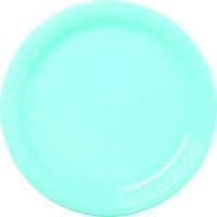 12 assiettes en plastique rondes turquoise prestige 24 cm
