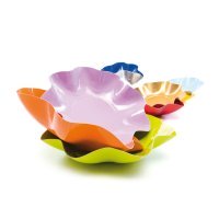 10 grandes assiettes rondes en carton vert pré party line 27 cm