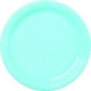 12 assiettes en plastique rondes turquoise prestige 24 cm